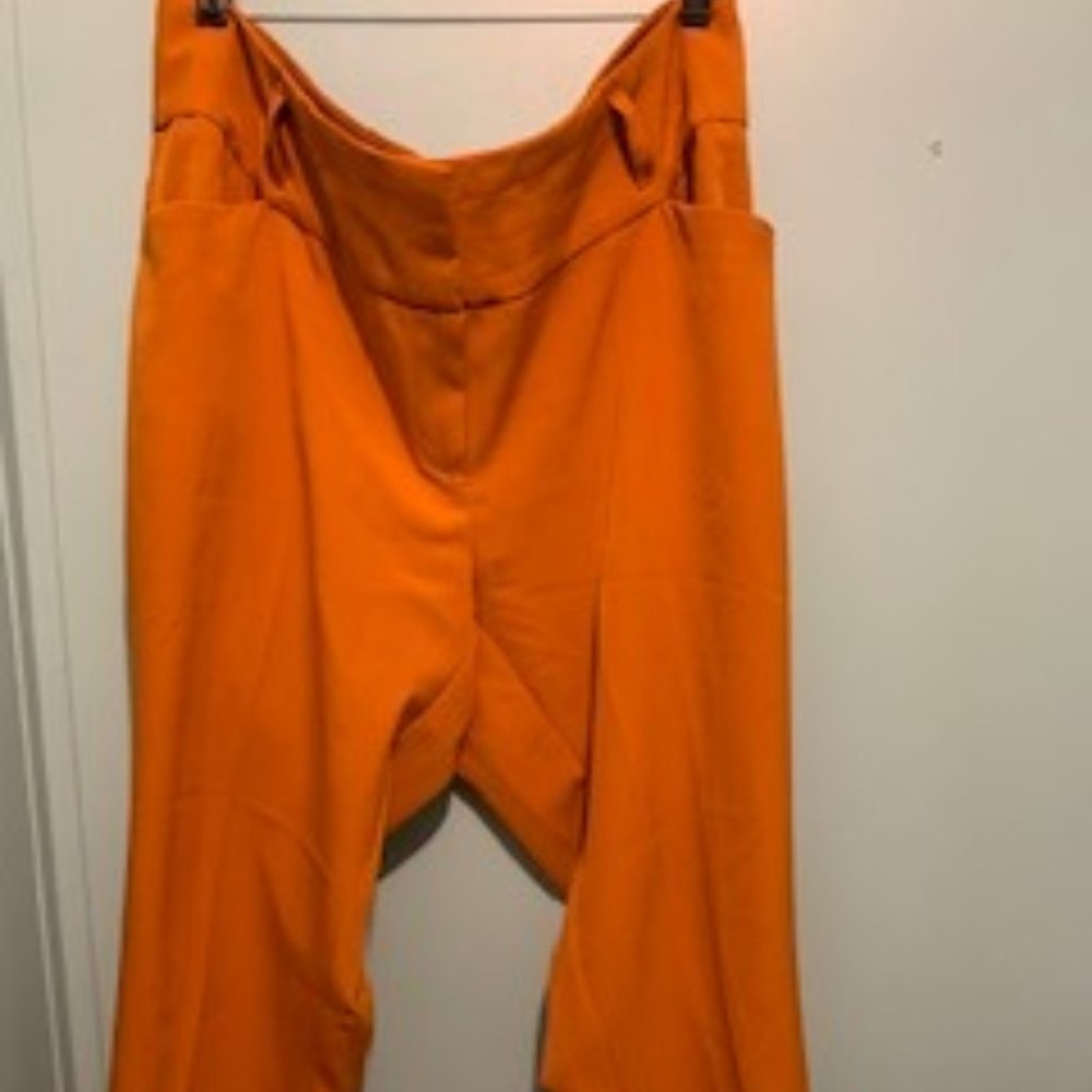 Ankle Pants Suit